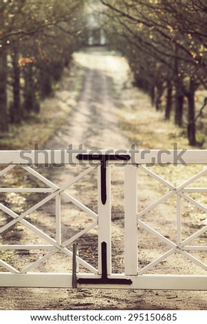 Gate closed. An image of a closed gate towards a long path with trees. Image also has a vintage effect.