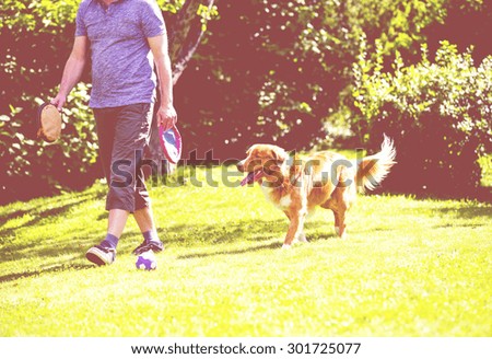 A man is teaching and training the dog outdoor in the park. The dog breed is nova scotia duck tolling retriever. Composition is so to emphasize the situation of teaching. Image has a vintage effect