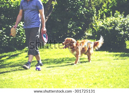 A man is teaching and training the dog outdoor in the park. The dog breed is nova scotia duck tolling retriever. Composition is so to emphasize the situation of teaching. Image has a vintage effect
