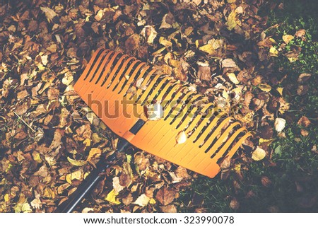 An image of a rake with a pile of birch leaves in the sunshine during autumn. Raking leaves is a normal procedure in a household during autumn. Image has a vintage effect applied.
