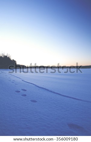 Rabbit footprints on the snow on a very cold morning. Image taken from low point of view on the lake. Some forest is in the background as a silhouette. Image has a vintage effect applied.