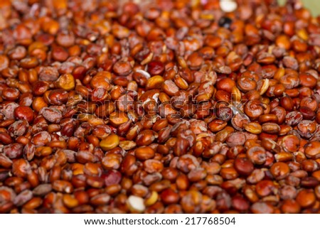 Organic Red Quinoa Shallow depth of field