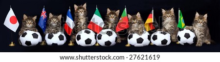 Pano panorama collage of 7 cute Maine Coon kittens on black background, with different country flags and soft miniature soccer balls
