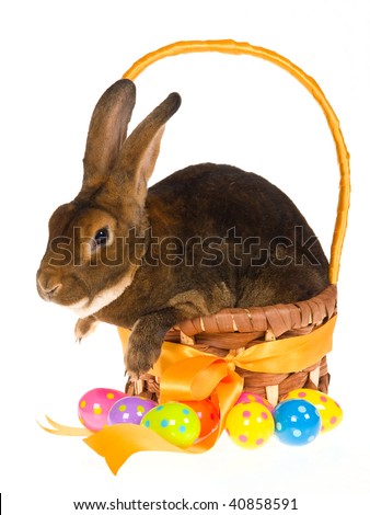 easter bunny with easter eggs in a basket. easter bunny with easter eggs