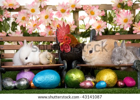 Rooster, bunnies, rabbits, chicks with easter eggs, picket fence, flowers and lawn