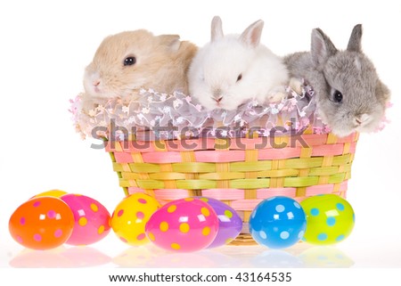 Easter White Background