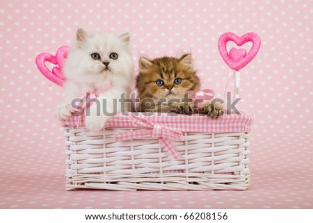 Hearts And Kittens