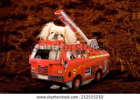 Dog sitting inside toy fire truck against flame effect background