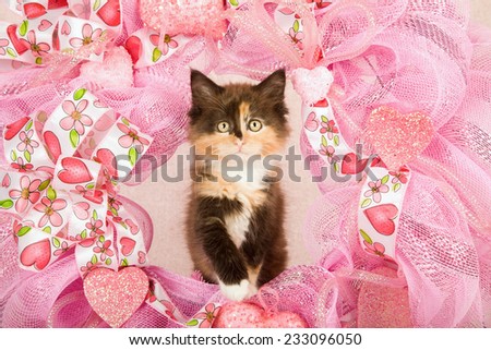 Valentine kitten sitting inside pink Valentine wreath on light pink background
