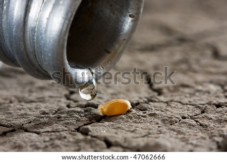 macro of water drop from flask and grain on parched soil