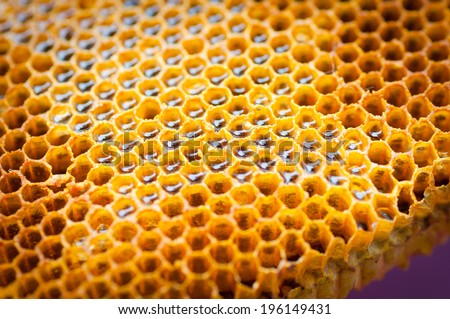 Yellow honeycomb cell close-up detail background