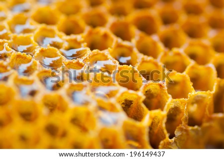 Yellow honeycomb cell close-up detail background