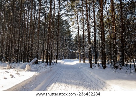 wintry landscape scenery with cross country skiing way