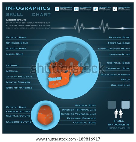 Skull Infographic Infocharts Health And Medical Science Background