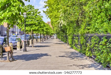 DUBLIN, IRELAND - MAY 25: a tree lined pavement next to St. Stephen\'s Green on May 25, 2013 in Dublin, Ireland. Dublin is a popular tourist destination with 6.5 million visitors from overseas in 2012.