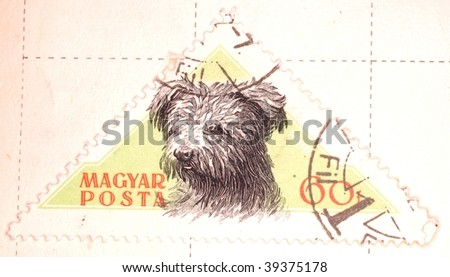 HUNGARY - CIRCA 1958: A stamp printed in Hungary shows image of a dog, series, circa 1958
