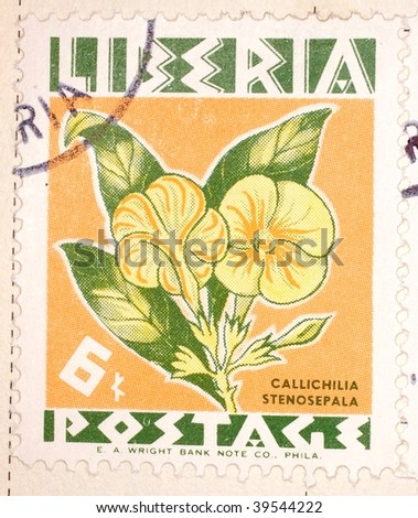 LIBERIA - CIRCA 1946: A stamp printed in Liberia shows image of mint flowers (callichilia stenosepala), series, circa 1946