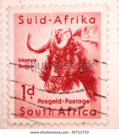 SOUTH AFRICA - CIRCA 1949: A stamp printed in South Africa shows image of a bull, series, circa 1949