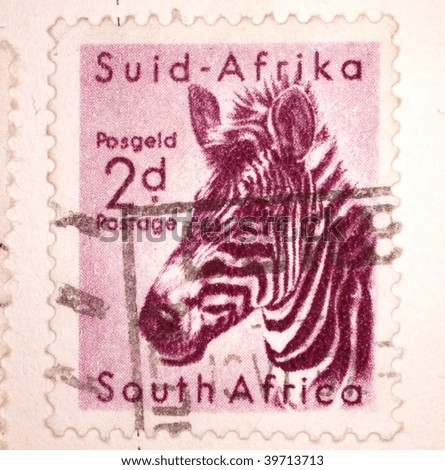 SOUTH AFRICA - CIRCA 1949: A stamp printed in South Africa shows image of a zebra, series, circa 1949