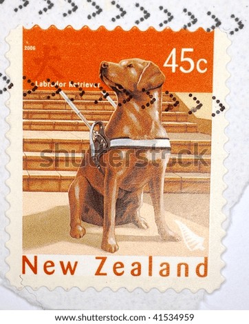 NEW ZEALAND - CIRCA 2006: A stamp printed in New Zealand shows image of a labrador dog, series, circa 2006