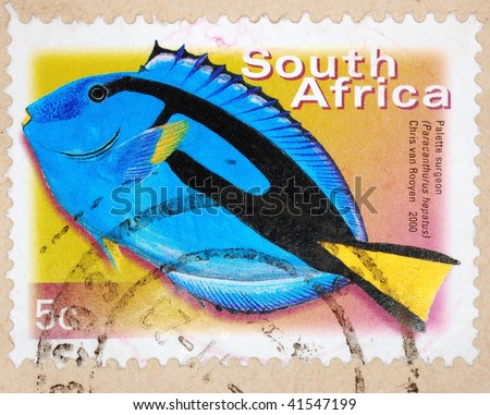 SOUTH AFRICA - CIRCA 2000: A stamp printed in South Africa shows image of a Palette Surgeon (Paracanthurus hepatus), series, circa 2000