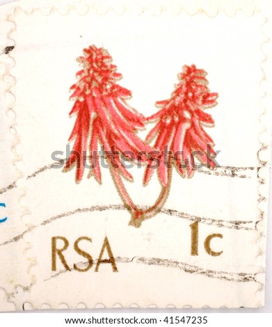 SOUTH AFRICA - CIRCA 1988: A stamp printed in South Africa shows image of a red plant sprig and \