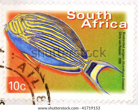 SOUTH AFRICA - CIRCA 2003: A stamp printed in South Africa shows image of a bluebanded surgeon (Acanthurus lineatus), series, circa 2003