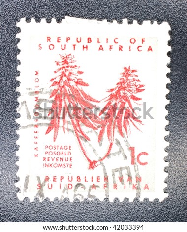 SOUTH AFRICA - CIRCA 1965: A stamp printed in South Africa shows image of kafferboom (Erythrina lysistemon), a species of tree native to South Africa, series, circa 1965