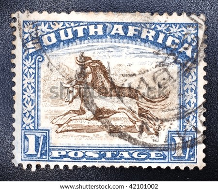 SOUTH AFRICA - CIRCA 1965: A stamp printed in South Africa shows image of two goats galloping, series, circa 1965