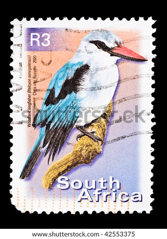 SOUTH AFRICA - CIRCA 2000: A stamp printed in South Africa shows image of a Woodland Kingfisher (Halcyon senegalensis), series, circa 2000