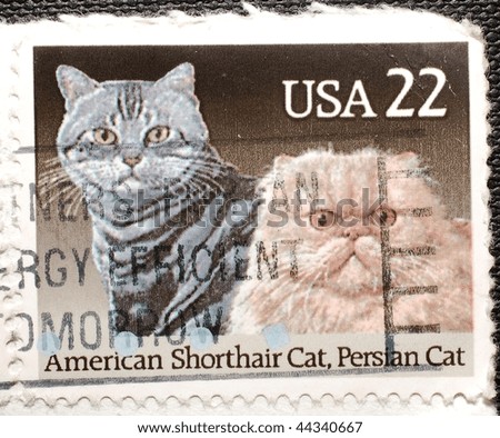 UNITED STATES OF AMERICA - CIRCA 1988: A stamp printed in the USA shows image of an American Shorthair and a Persian cat, circa 1988