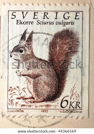 http://image.shutterstock.com/display_pic_with_logo/166210/166210,1263322941,1/stock-photo-sweden-circa-a-stamp-printed-in-sweden-shows-image-of-a-red-squirrel-sciurus-vulgaris-44366569.jpg