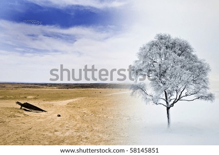 Summer and Winter / Climate Change Concept