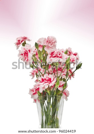 Bunch Of Carnations