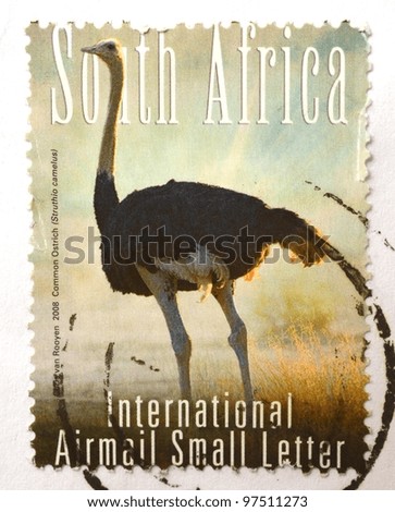 SOUTH AFRICA - CIRCA 2008: A stamp from South Africa shows image of a Common ostrich (Struthio camelus), circa 2008