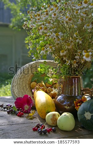 fruit and flowers, summer still life with bouquet of dry daisies, Fruits And Vegetables