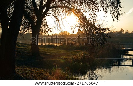Silhouette of a tree at dawn, sunset on the lake with tree, sunset on the oak grove on a lake, sunset on the riverbank, oak tree on the lake at sunset, sun above the lake, sunset on the autumn river