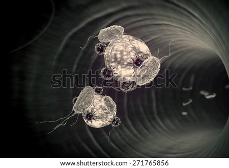 Human Immune System attack the virus, macrophage and fat cells inside the blood vessel, white blood cells inside the blood vessel, Red and white blood cells in artery