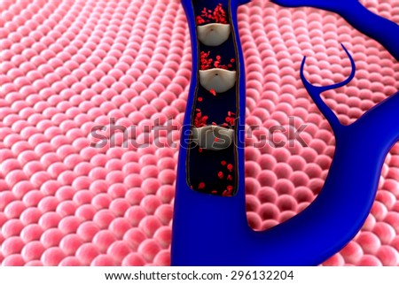 artery shown with a cut out section, Contraction of blood vessels, a blood clot in the vessels, fat cell in the blood, High quality 3d render of blood cells, cholesterol in a blood