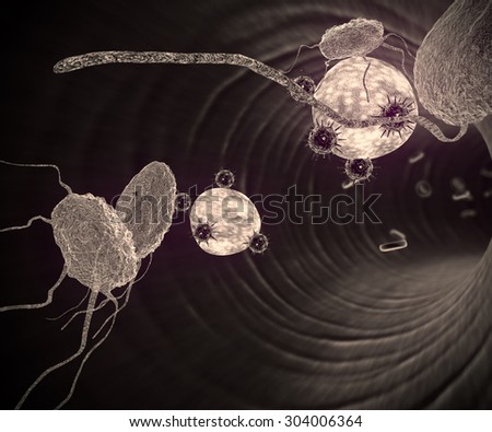 viruses and macrophages, Human Immune System attack the virus, viruses, macrophage and fat cells inside the blood vessel, white blood cells inside the blood vessel