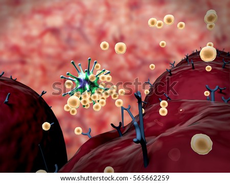 3D illustrations of virus and antibodies, field of cells with receptors, Human Immune System attack the virus, virus attack the cells