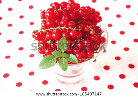 Fresh red currant with mint leafs,isolated on red dotted background