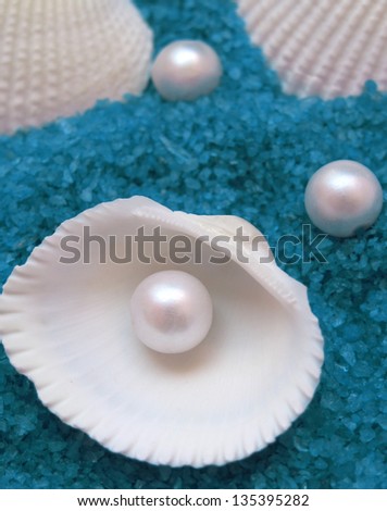 beautiful shells with pearls isolated on interesting blue background made of little blue rocks