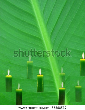 green lamina and green candles