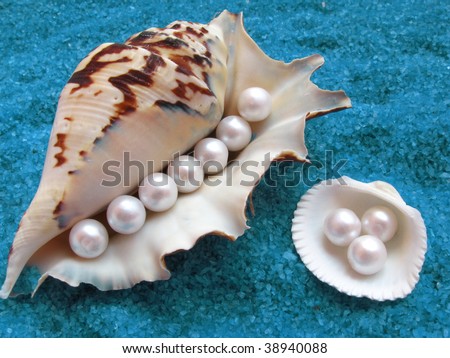 Big shell and small shell with pearls on interesting blue background