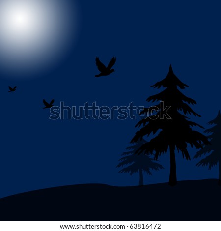 dark trees background. ackground,dark night,tree