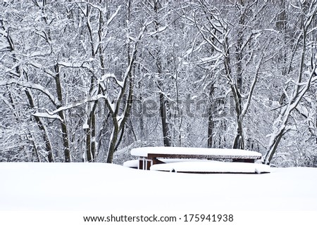 Panorama of winter forest with bench.