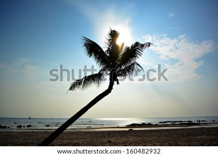 Silhouette of bent coconut tree on beach at sunrise