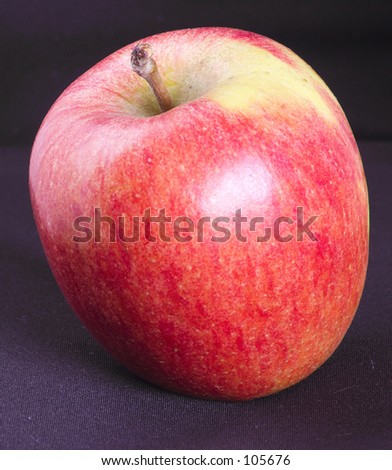 braeburn apple for the teacher