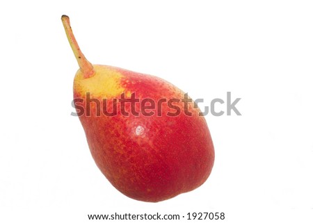 Desert Pear